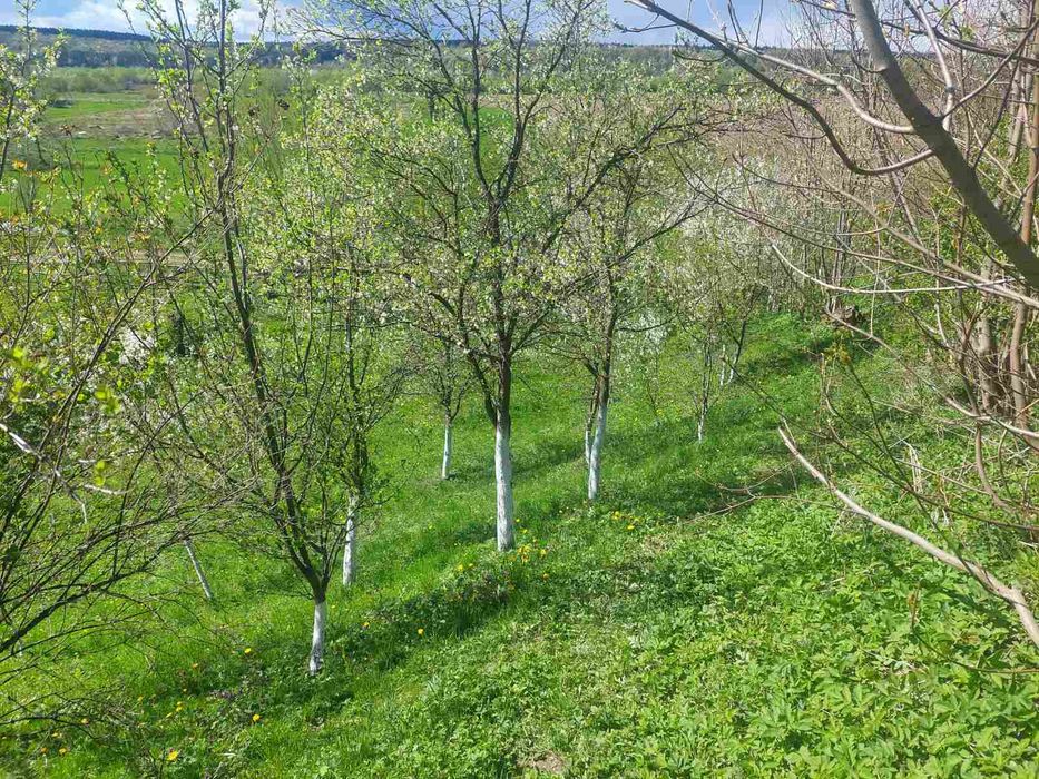 Продаж 3-кім. будинку 70 м.кв. с. Винники