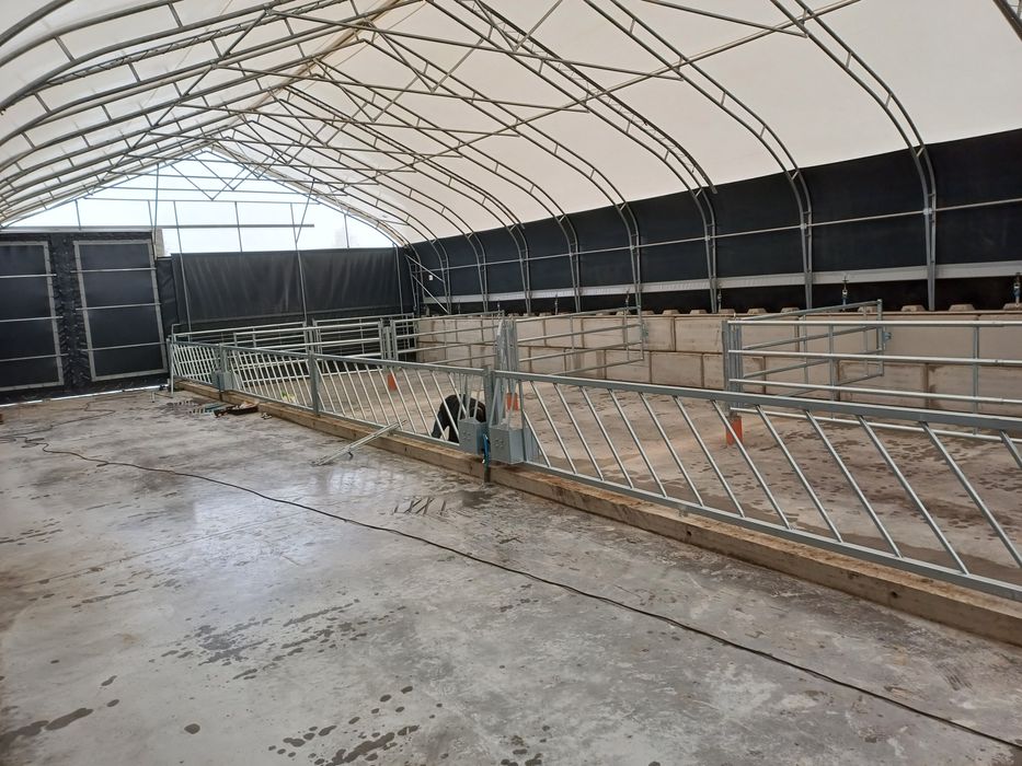 Drabiny kojec dla bydła