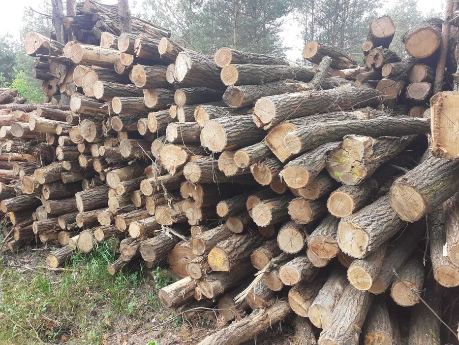 słupki akacjowe stęple akacjowe