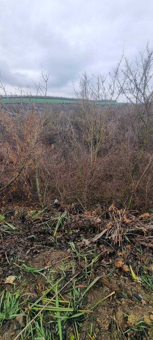 Продається земельна ділянка. Лисогірка.