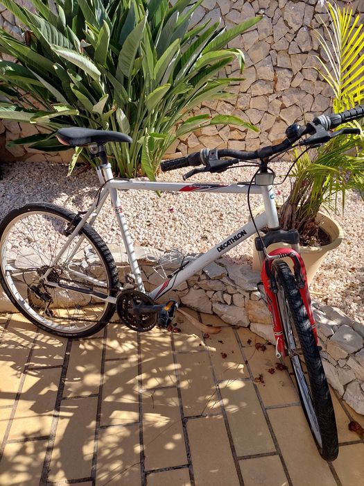 Bicicleta para adulto