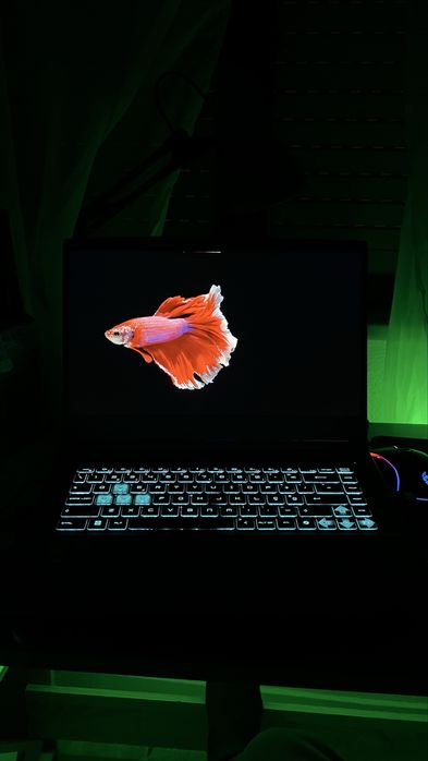 Portatil gamer msi thin 15