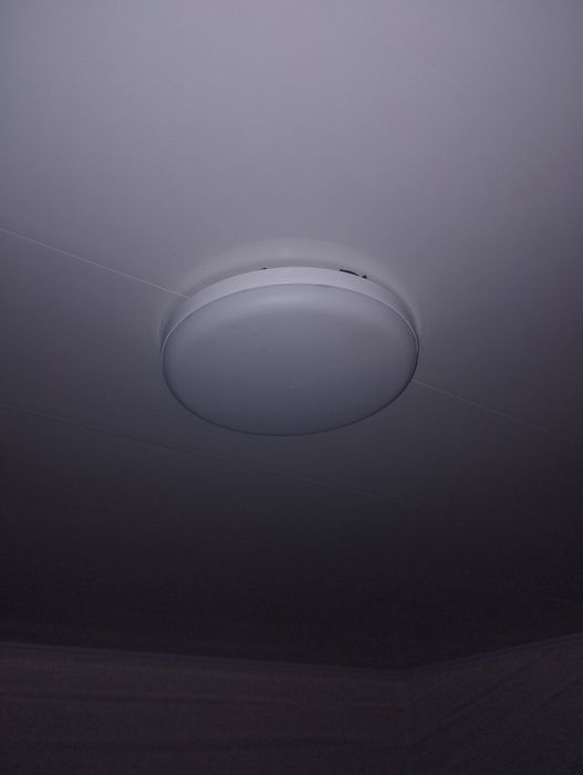 Плафон потолочний.