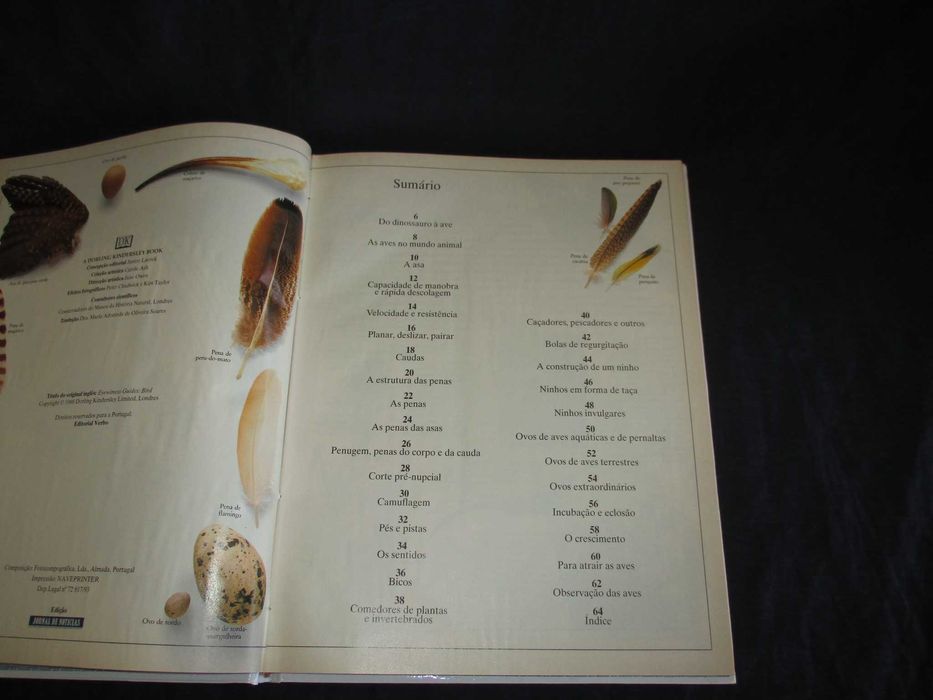 Livro Aves Peixes Mamíferos Enciclopédia Visual