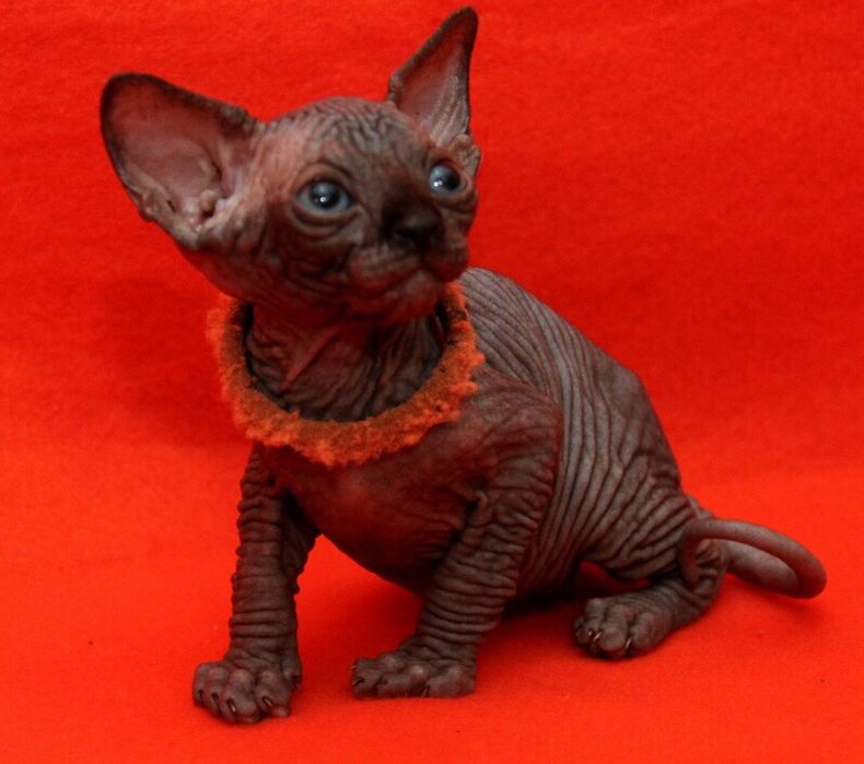 Супер красивые малыши