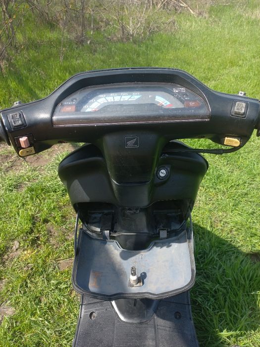 Honda tact 24.(50cм³)