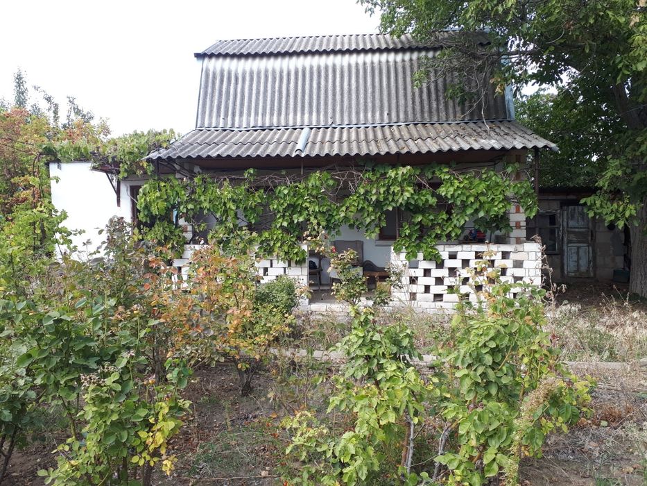 Продається дачна ділянка