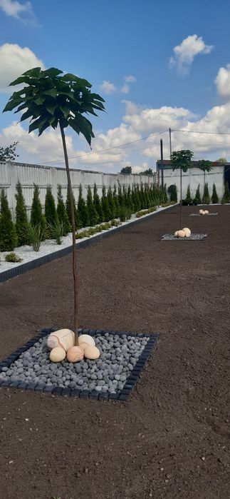 Nawodnienie trawników lub rabat kwiatowych.