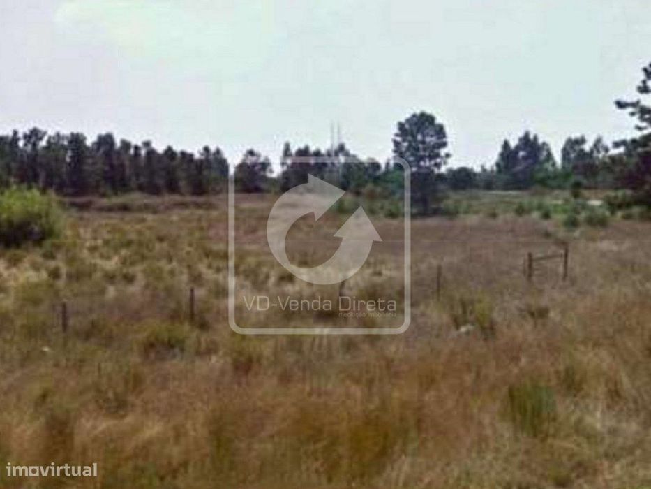 IMÓVEL DA BANCA - Terreno Rústico com 108.508 m2 no Montijo.