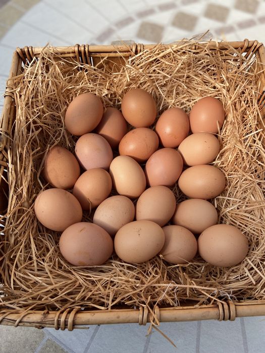 Домашні курячі яйця