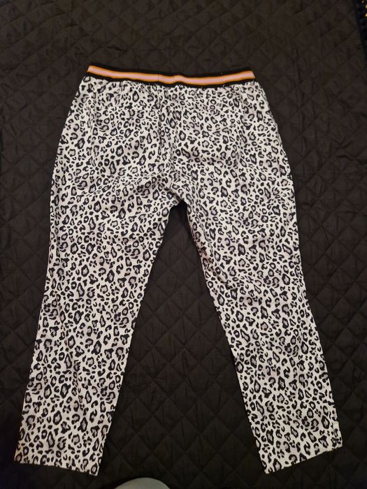 Spodnie rozmiar XL w panterkę