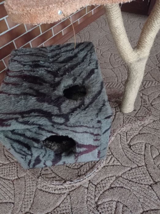 Кошкин дом с когтейкою