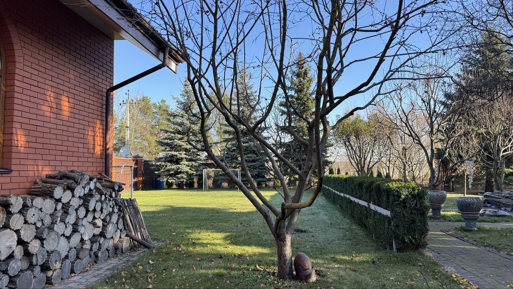 Оренда закритого комплексу та будинку с. Новосілки Вишгородського р-н