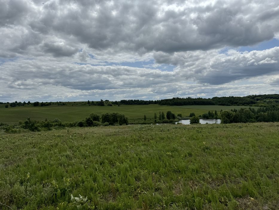 Продаж земельної ділянки в Колоденці 15.5 сотки біля ставу і лісу