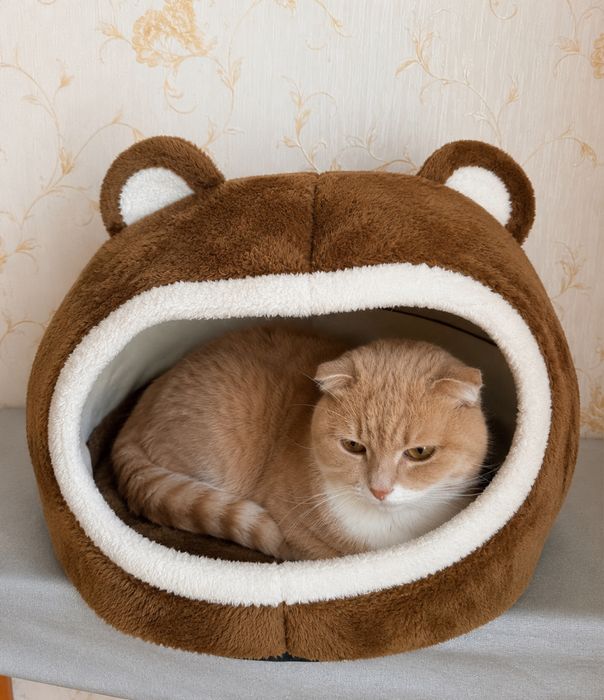 Будиночок лежанка для кота