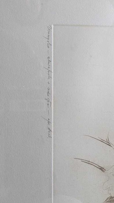 Leszek Rózga - akwaforta Uroczysko