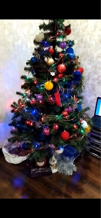 Ялинка декоративна.