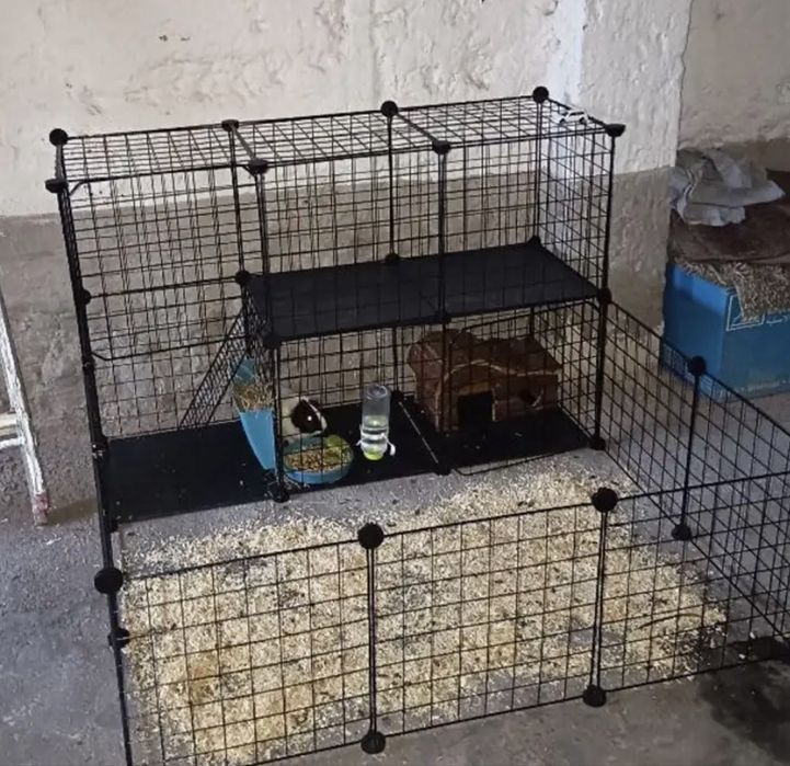 Jaula nova para animais - nao negociavel