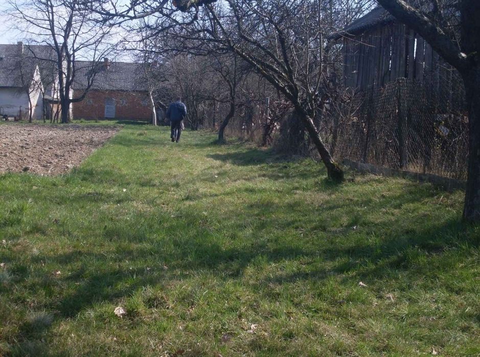 Продаж будинку з земельною ділянкою 26 соток в с.Бедевля