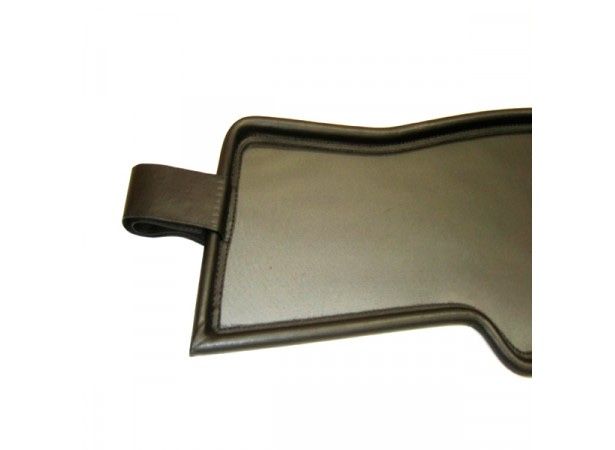 Defletor de vento BMW Z4 E85