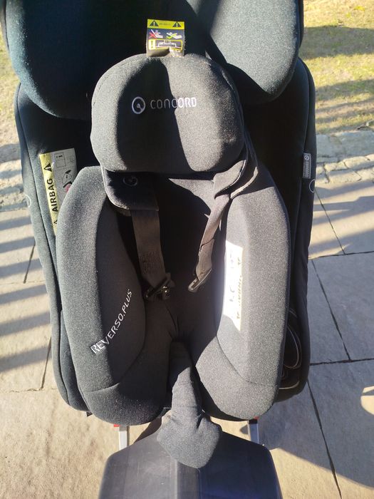 Concord Reverso fotelik