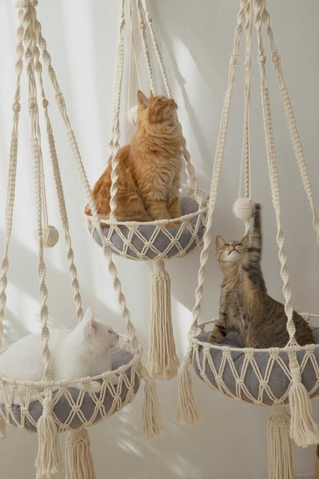 Camas suspensa para gatinhos em Macrame
