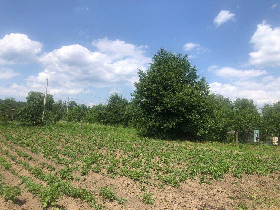 Продається земельна ділянка під житлову забудову в с. Підгір'я