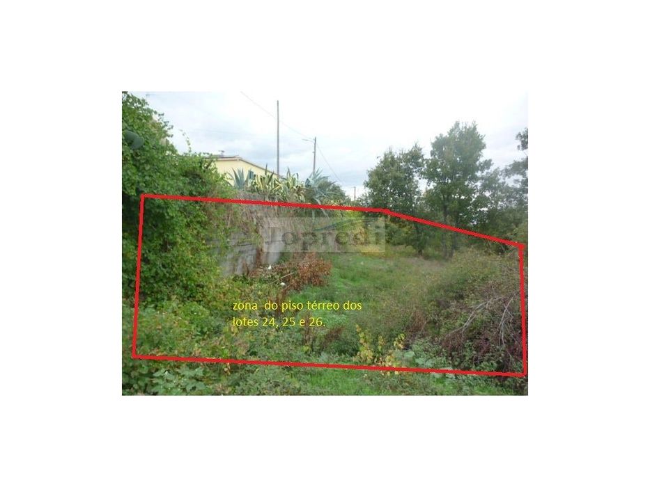 3 Lotes de terreno urbano