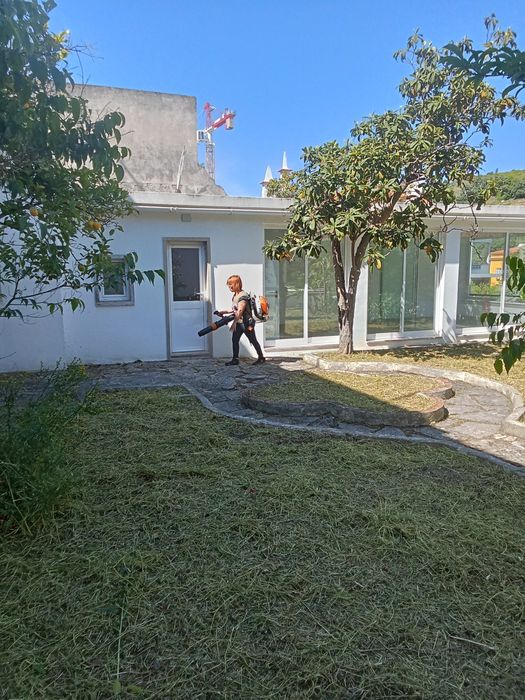 Limpeza de terrenos e quintais