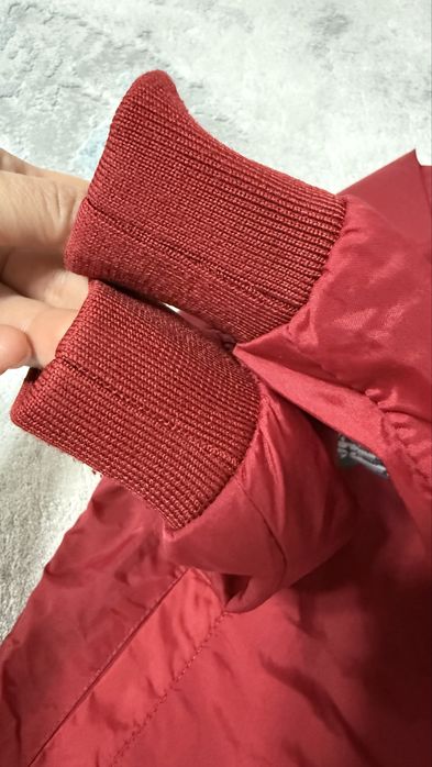 Демісезонна куртка вітровка на флісі GeeJay 104 2-4 роки