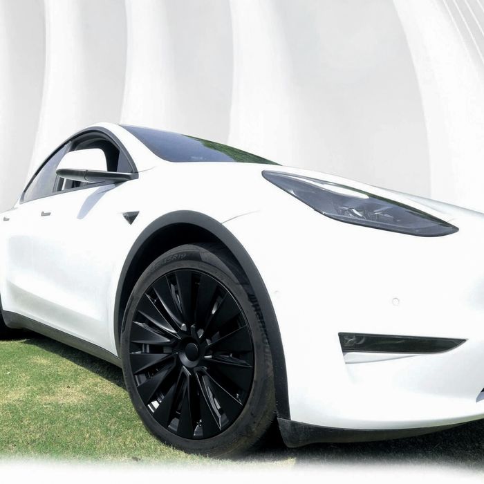 Tampões Jantes 19 - Tesla Model Y