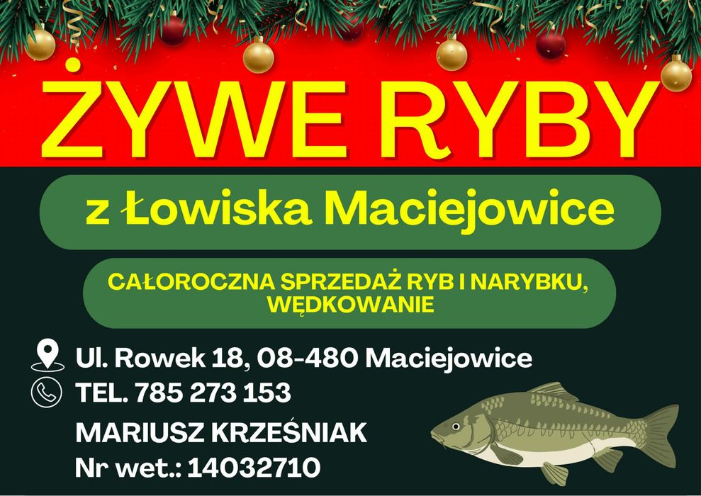 Karp swiąteczny już w sprzedaży Łowisko Maciejowice