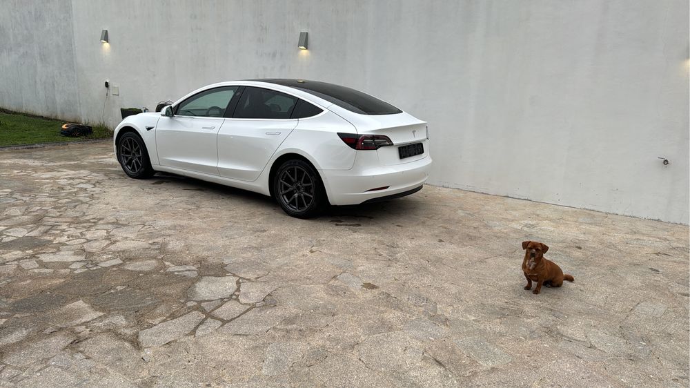 Tesla Model 3 sr+64628808166403121