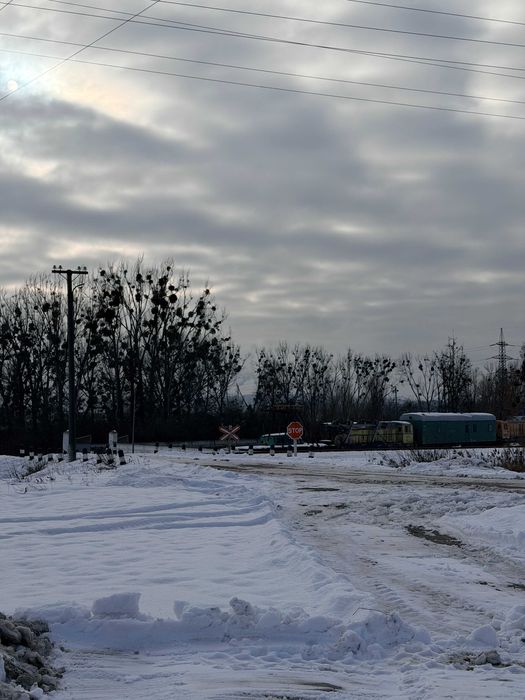 Продаж земельної ділянки поблизу Львова у с. Муроване 55 соток