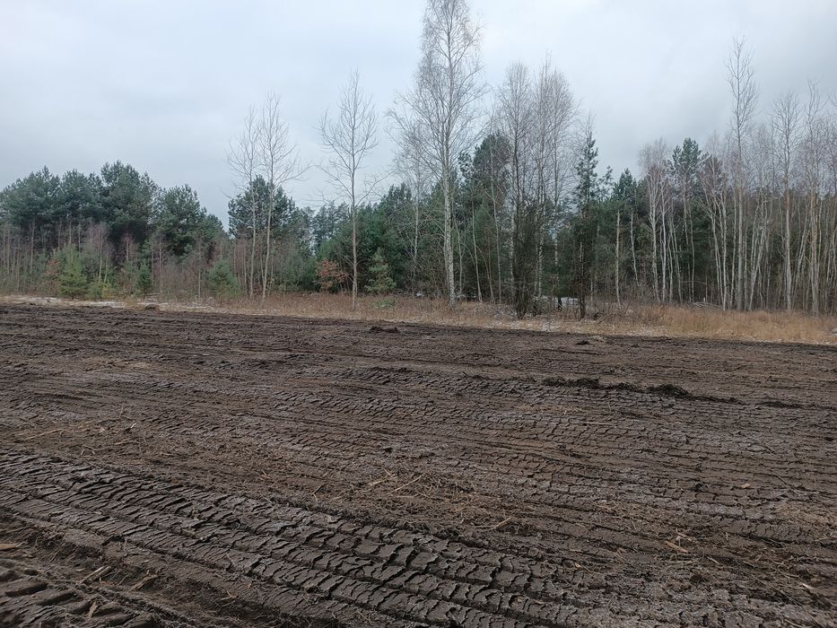 Mulczer Wgłębny Karczowanie Rekultywacja Działek Wycinka Drzew