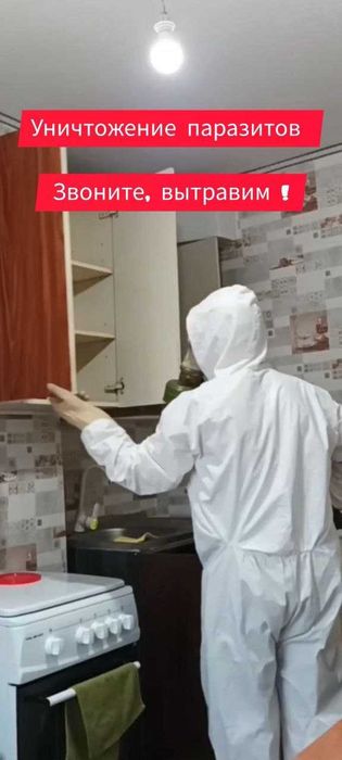 Уничтожение Тараканов в Самаре, Травля Тараканов, Дезинфекция Таракан