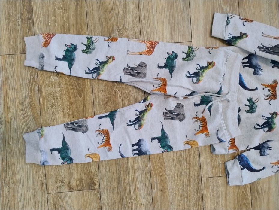 Komplet dres 110/116 HM dinozaury zwierzęta