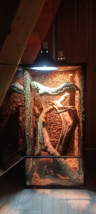 Terrarium Paludarium szklane 45x45x90 IGRepti z wyposażeniem