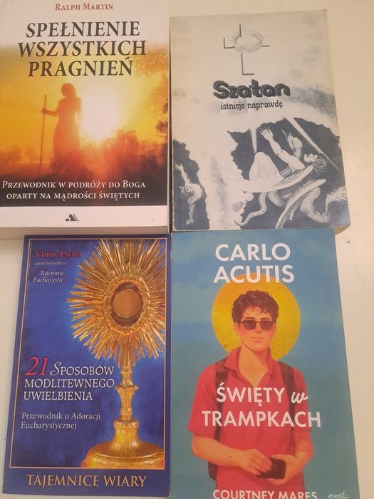 Martin Spełnienie wszystkich pragnień 4 książki