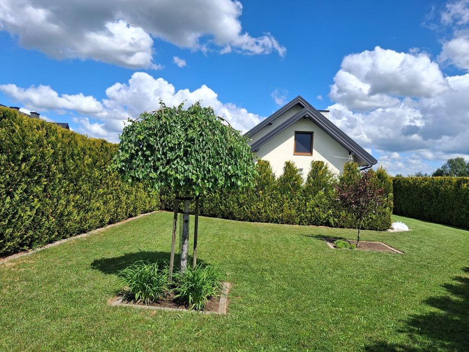 Dom wolnostojacy
