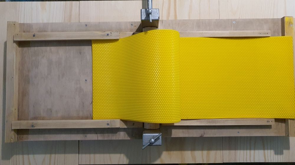 Pszczelarstwo- matryca