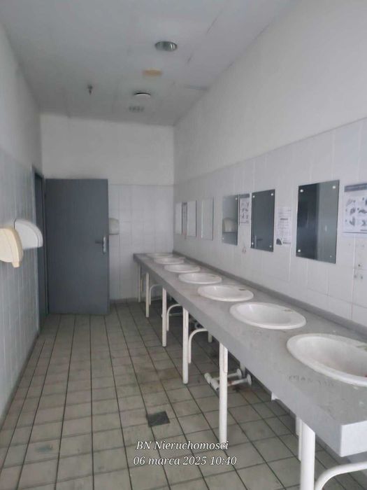 Wynajmę halę z biurami