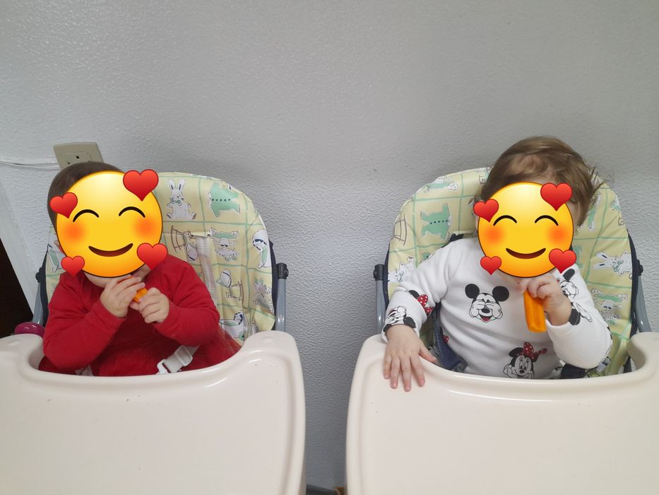 Duas camas de grades,duas cadeiras refeição  e carro de gemeas