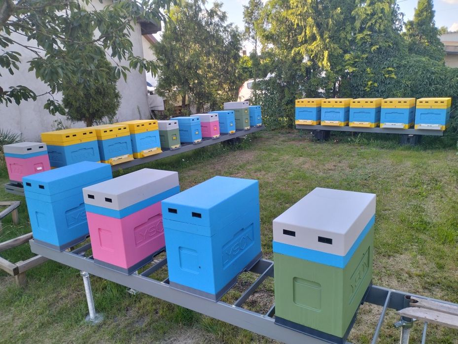 Sprzedam rodzina pszczela w raz z ulem dadant 12-ramkowy