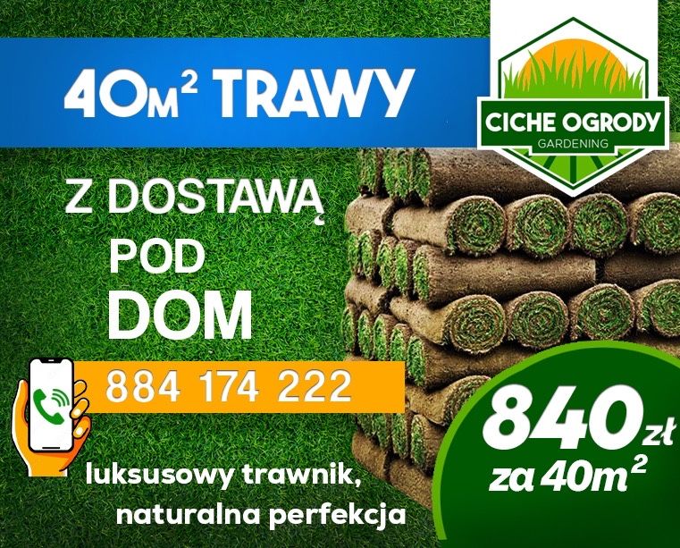 Trawa w rolce trawa z rolki 40m2 z dostawą pod sam dom
