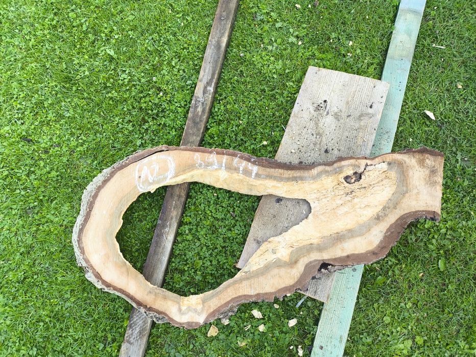 Suche plastry orzecha włoskiego