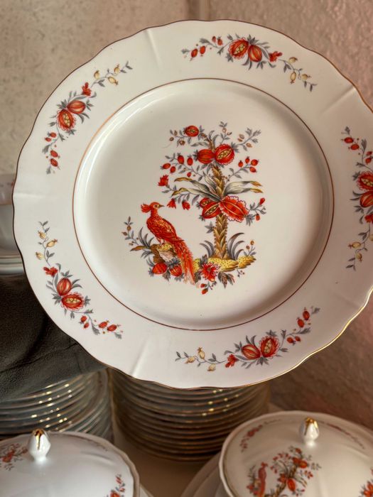 Serviço da SPAL completo