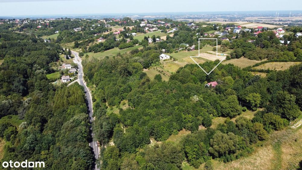 Siedlisko: dom i stodoła / 64 ary [6400 m2] ziemi na uboczu