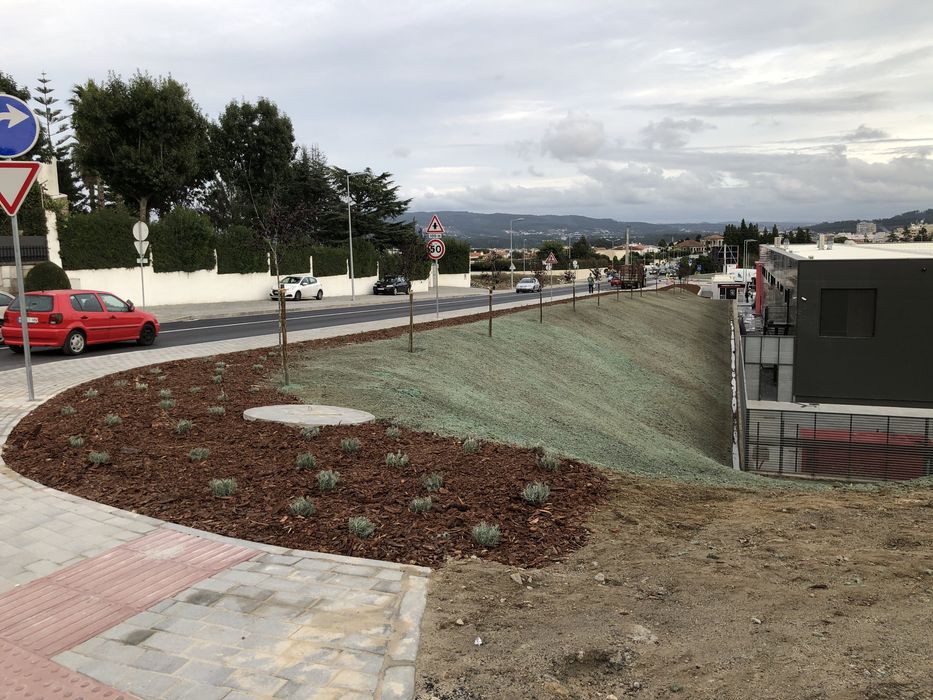 Limpezas florestais  abates de árvores