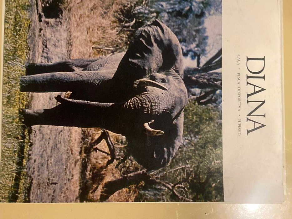 Fascículos da Revista Diana: Caça, Hipismo e Pesca (de 1966 a 1975)